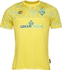 Werder Bremen - 22/23 GK thuisshirt - Jersey - Mannen - meerkleurig