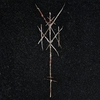 Wiegedood - There