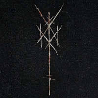 Wiegedood - There