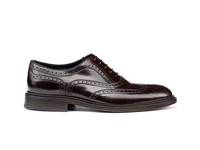 Da Vinci - Coffee polished Leather Men Oxford Wing Brogue