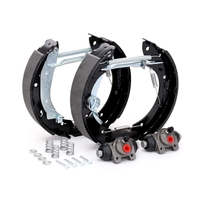 BOSCH Remschijf,  trommelrem PEUGEOT, CITROËN 0 204 114 556 1610091380, 42414J, 42417A 42417C, 42417Z, 424222, 1610091380, 42414J, 42417A, 42417C, 42417Z, 424222