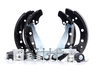 BOSCH Remschijf,  trommelrem VW, SKODA 0 204 114 579 1H0685511AX