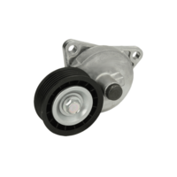 BOSCH Riemspanner FIAT, PEUGEOT, CITROËN 1 987 945 838 1613839980, 575155, 96344657 Riemspanner,  Poly V-riem 96363551, 9634465780, 9636355180, 9653522380