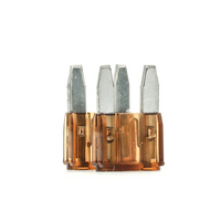 BOSCH Zekering 1 904 529 909 072581000308, A072581000308