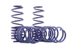 H&R Chassis,  veren FORD 29012-1