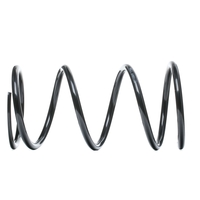 Magnum Technology Chassisveer NISSAN SZ1086 540108H661 Veer, Verlagingsveren, Schroefveren, Veren