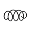 Magnum Technology Chassisveer RENAULT SR163MT 540107646R Veer, Verlagingsveren, Schroefveren, Veren
