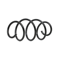 Magnum Technology Chassisveer RENAULT SR163MT 540107646R Veer, Verlagingsveren, Schroefveren, Veren