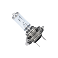 MAXGEAR Autolampen MERCEDES-BENZ, RENAULT TRUCKS, MAN 78-0053 1354876, 01121371, 81259017069 Gloeilamp,  koplamp T503, ZF259017069