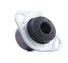 REINHOCH Aslichaam- / motorsteunlager PEUGEOT, CITROËN RH11-2153 184451, 96104506, 184451 Motorsteun, Motorsteun rubber, Motorsteun & Versnellingsbaksteun