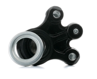 REINHOCH Fuseekogel PEUGEOT, CITROËN RH03-2038 364058