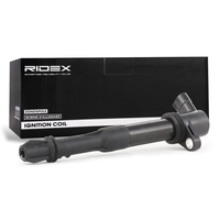 RIDEX 689C0036 Bobine 12 3 Incl. bougiestekker,  Bougieschacht bobine FIAT: Stilo Hatchback,  Brava Hatchback,  Doblo I Station Wagon