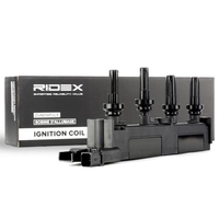 RIDEX 689C0037 Bobine 4 Aansluituitvoering SAE,  Bobine-eenheid PEUGEOT: 406 Station Wagon,  406 Coupe,  407 Sedan,  CITROËN: Xsara Picasso