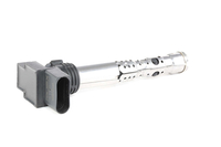 RIDEX 689C0145 Bobine 4 VOLKSWAGEN: Polo IV Hatchback,  Fox Hatchback,  Polo V Hatchback,  SKODA: Fabia 1 Combi,  Fabia I Hatchback,  Fabia 2