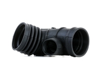 RIDEX Aanzuigslang,  luchtfilter BMW 1591I0014 13541435625