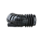 RIDEX Aanzuigslang,  luchtfilter BMW 1591I0030 13711708800