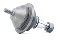 RIDEX Fuseekogel ALFA ROMEO 2462S0255 116002101907, 60521235, 60521236 60521237, 60521236, 60521236