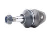 RIDEX Fuseekogel ALFA ROMEO 2462S0258 116462109700, 60521243, 60728428 60728429, 60736098, 116462109700, 116462109700