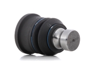 RIDEX Fuseekogel OPEL, RENAULT, NISSAN 2462S0223 4016000Q0B, 4418631, 4016000Q0B 4418631, 7701070154, 93194857, 93194857