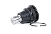 RIDEX Fuseekogel RENAULT, NISSAN 2462S0176 401609W200, 545004BA0A, 545004CA0A 545004CL1B, 545004EA0B, 545005HA0A, 545009W200, 545009W20C, 545009Y000