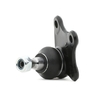 RIDEX Fuseekogel VW, AUDI, SKODA 2462S0278 8Z0407366A, 6Q0407366A, 6Q0407366AS1 6Q0407366M, 6Q0407366MS1, 6Q0407366A, 6Q0407366AS1, 6Q0407366M, 6Q0407366MS1