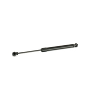 RIDEX Gasdemper,  Achterruit RENAULT 2454G0002 51051803, 904600001R