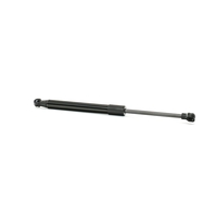RIDEX Gasdemper,  Achterruit TOYOTA 2454G0008 6603025