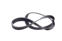 RIDEX Multiriem BMW, OPEL, RENAULT 305P0419 11287560485, 11287631812, 4416361 Poly-V-riem, Multi-V-riem, Poly V Snaar 4418674, 4434596, 4435288, 93186955