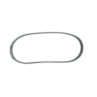 RIDEX Multiriem FIAT, PEUGEOT, HYUNDAI 305P0553 4751659, 4892444AA, 4892749AA Poly-V-riem, Multi-V-riem, Poly V Snaar 5750WX, 4892749AA, 4663182, 71749443