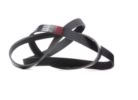 RIDEX Multiriem MERCEDES-BENZ, RENAULT, PEUGEOT 305P0323 1333734, 1364060, 252124A650 Poly-V-riem, Multi-V-riem, Poly V Snaar 252124A750, 252124A650