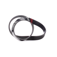 RIDEX Multiriem OPEL, RENAULT, FIAT 305P0204 5750RK, 9652250480, 9652250580 Poly-V-riem, Multi-V-riem, Poly V Snaar 11287534703, 4403472, 4404042, 8200059425