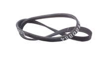 RIDEX Multiriem VW, AUDI, FORD 305P0415 066145933J, 22145933G, 66145933J Poly-V-riem, Multi-V-riem, Poly V Snaar 1111241, 1111242, YM216C301CA, 022145933G