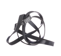 RIDEX Multiriem VW, AUDI, MERCEDES-BENZ 305P0411 059903137AC, 059903137R, 06E903137AE Poly-V-riem, Multi-V-riem, Poly V Snaar 077903137H, 077903137L, 53006870