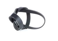 RIDEX Multiriem VW, AUDI, SKODA 305P0398 04L260849C, 04L260849C, 04L260849C Poly-V-riem, Multi-V-riem, Poly V Snaar 04L260849L, 04L260849C, 04L260849L