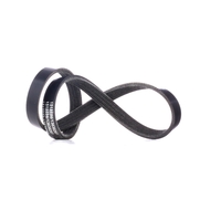 RIDEX Multiriem VW, FORD 305P0342 1353946, 4S7Q6C301CA, 03L119137 Poly-V-riem, Multi-V-riem, Poly V Snaar