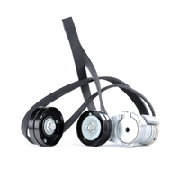 RIDEX Poly-V-riem set VW, SKODA, SEAT 542R0107 Multiriemset
