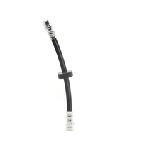 RIDEX Remslang FORD 83B0531 1064257, 98AG2282AB