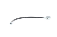 RIDEX Remslang FORD, NISSAN 83B0349 1956496, 1962067, 462110F005 462110F015