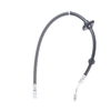 RIDEX Remslang PEUGEOT, CITROËN 83B0570 4806E8, 4806K3, 4806E8 4806K3