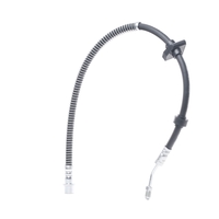 RIDEX Remslang PEUGEOT, CITROËN 83B0570 4806E8, 4806K3, 4806E8 4806K3