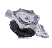 RIDEX Waterpomp FIAT, PEUGEOT, CITROËN 1260W0262 75530147, 95548541, 95619748 5548541, 75530147, 95548541, 5548541, 75530147, 95548541, 120136, 120137