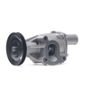 RIDEX Waterpomp FIAT, SEAT, LANCIA 1260W0260 46742168, 7724414