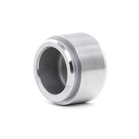 RIDEX Zuiger,  remklauw AUDI, BMW, OPEL 2248P0022