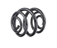 SACHS Chassisveer AUDI 996 965 8N0511115E, 8N0511115E Veer, Verlagingsveren, Schroefveren, Veren