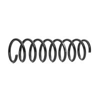 SACHS Chassisveer BMW 996 975 33536761217, 6761217 Veer, Verlagingsveren, Schroefveren, Veren