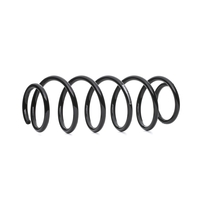 SACHS Chassisveer MERCEDES-BENZ 994 073 1693240904, A1693240904 Veer, Verlagingsveren, Schroefveren, Veren