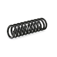 SACHS Chassisveer MERCEDES-BENZ 996 072 1243241204, A1243241204 Veer, Verlagingsveren, Schroefveren, Veren