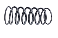 SACHS Chassisveer MERCEDES-BENZ 996 548 4603240704, A4603240704 Veer, Verlagingsveren, Schroefveren, Veren
