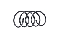 SACHS Chassisveer MERCEDES-BENZ 998 647 2033214604, A2033214604 Veer, Verlagingsveren, Schroefveren, Veren