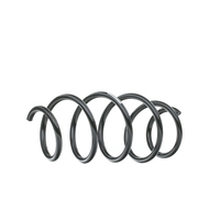 SACHS Chassisveer MERCEDES-BENZ 998 881 2043211704, A2043211704 Veer, Verlagingsveren, Schroefveren, Veren